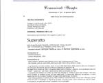 2003 comunicato stampa la casa bianca.jpg